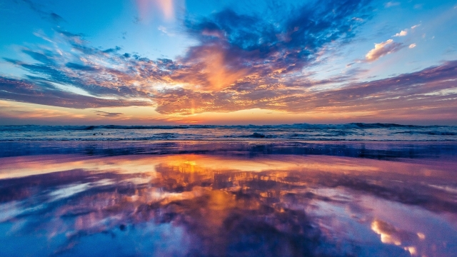 园林绿化树木整形修剪