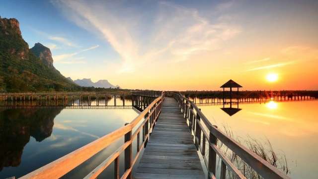 jinnian金年会：园林绿化景观的质保期