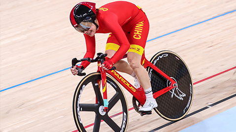 jinnianhui金年会：园林绿化杏树造型