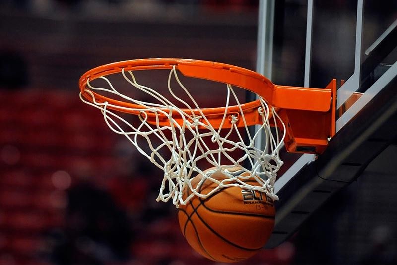 园林绿化树形要求