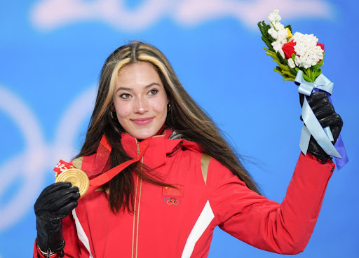 园林绿化抗雪护绿